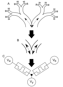 Memristive Synapse