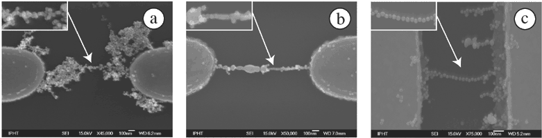 Gold nanoparticles self-organizing a wire