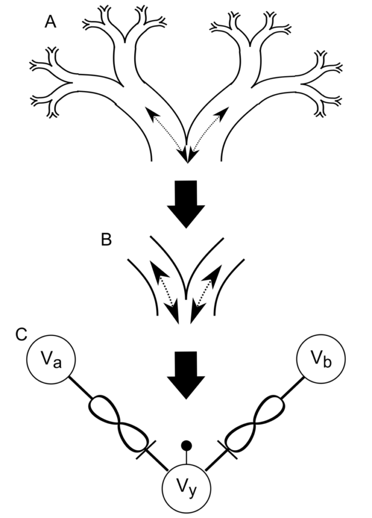 Thermodynamic-RAM Technology Stack - kT-Synapse